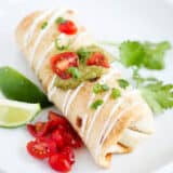 chimichanga on white plate