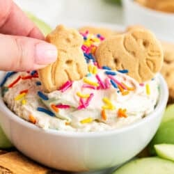 Dipping animal cracker into funfetti dip.