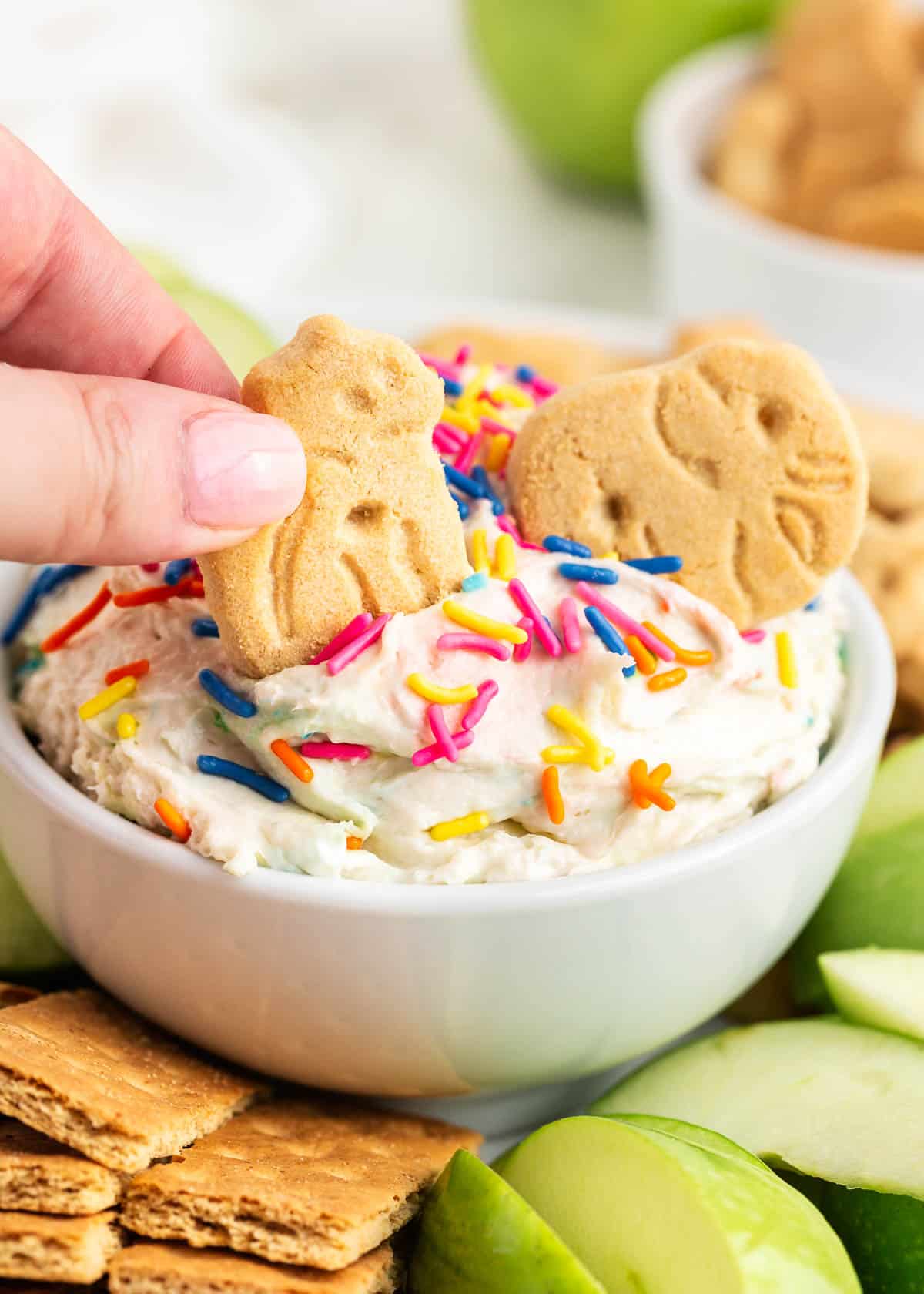 Dipping animal cracker into funfetti dip.