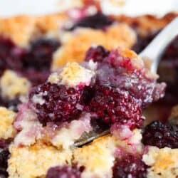Spoonful for blackberry cobbler.