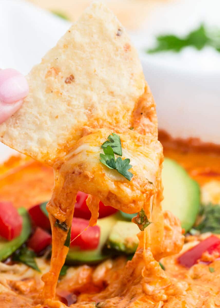 Scooping chicken enchilada dip with tortilla chip.