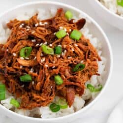 Shredded honey chicken and rice in a white bowl.