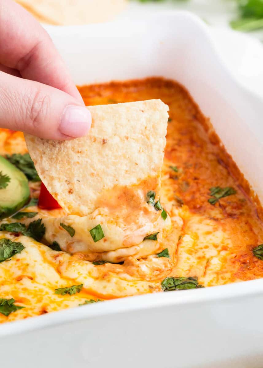 This chicken enchilada dip is an irresistible game day favorite! It's creamy and cheesy with shredded chicken, cheese, cream cheese, enchilada sauce and Tex-Mex flavors. A chip dipped into chicken enchilada dip.