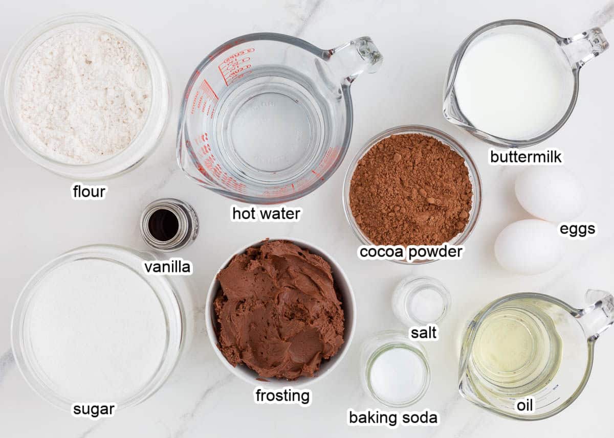 Chocolate cake ingredients on counter.