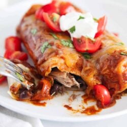 Pork enchiladas on white plate with bite taken.