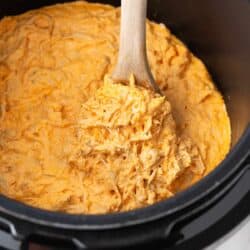 Buffalo chicken dip in instant pot with spoon.