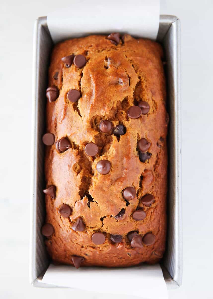 Chocolate chip pumpkin bread in loaf pan.