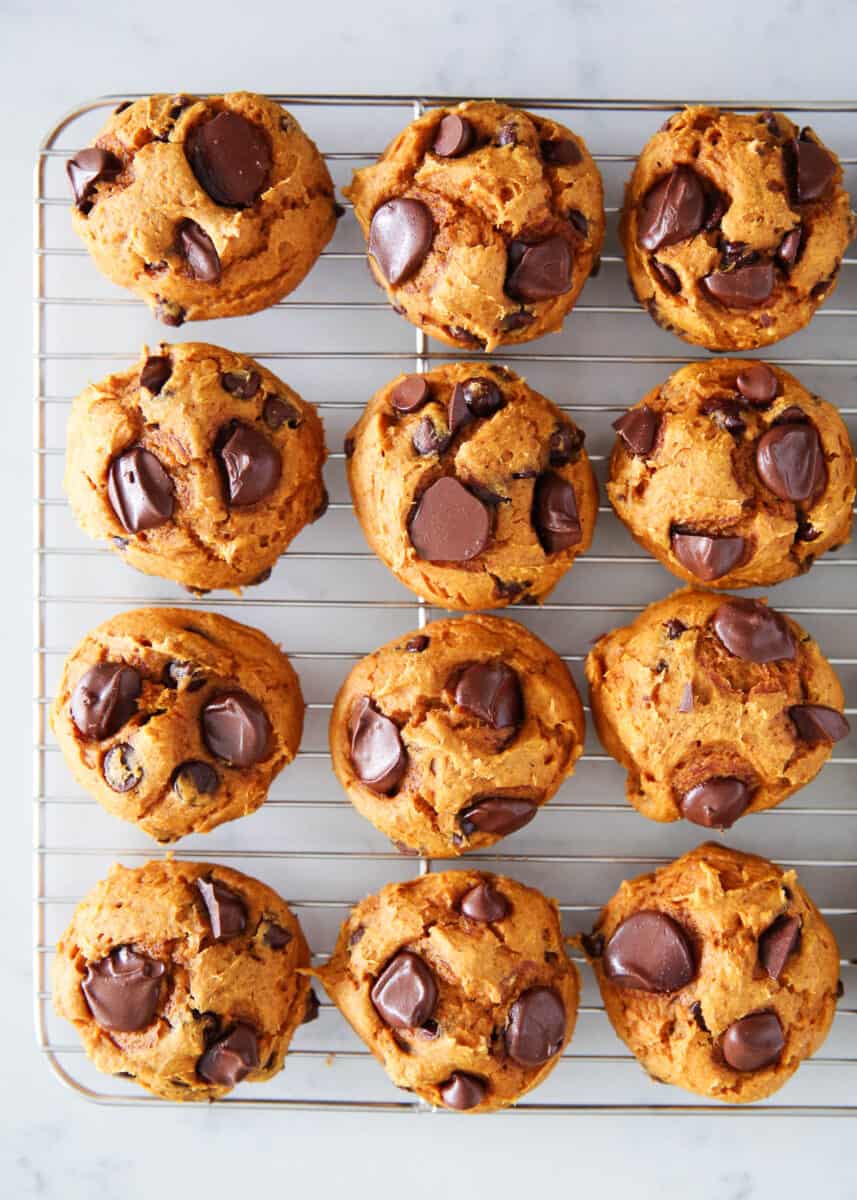 Pumpkin cake mix cookies with chocolate chips on a cooling rack.