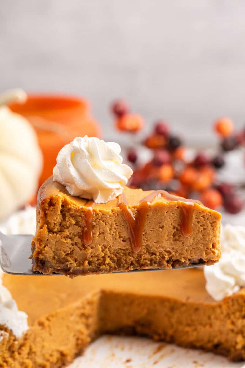 Instant pot pumpkin cheesecake with gingersnap crust online