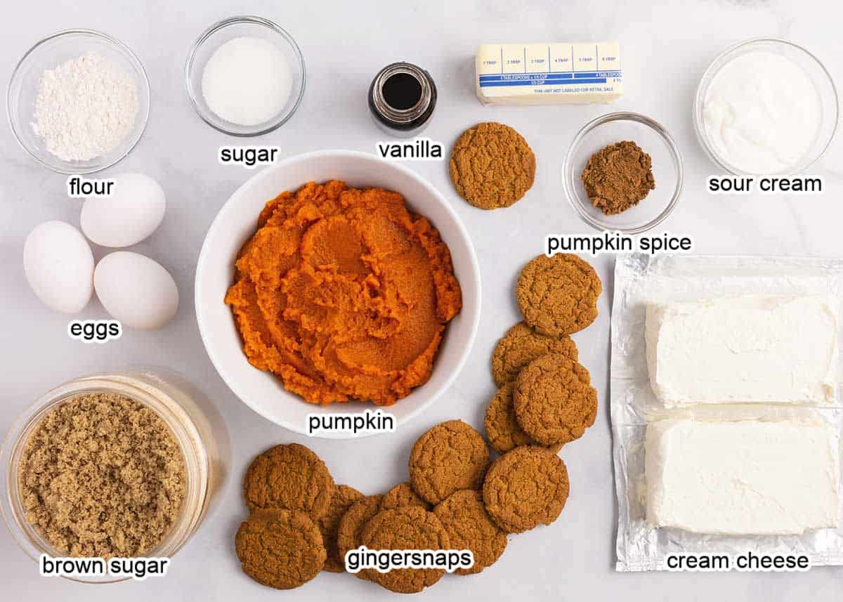Pumpkin cheesecake ingredients on marble counter.