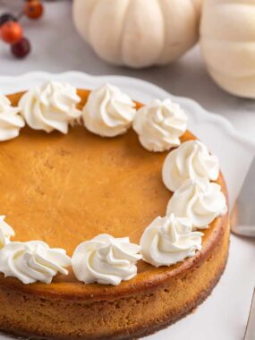 Pumpkin cheesecake with gingersnap crust with piped whipped cream.