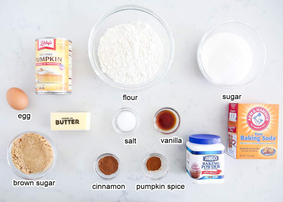 Pumpkin Cookie Ingredients on the marble countertop.