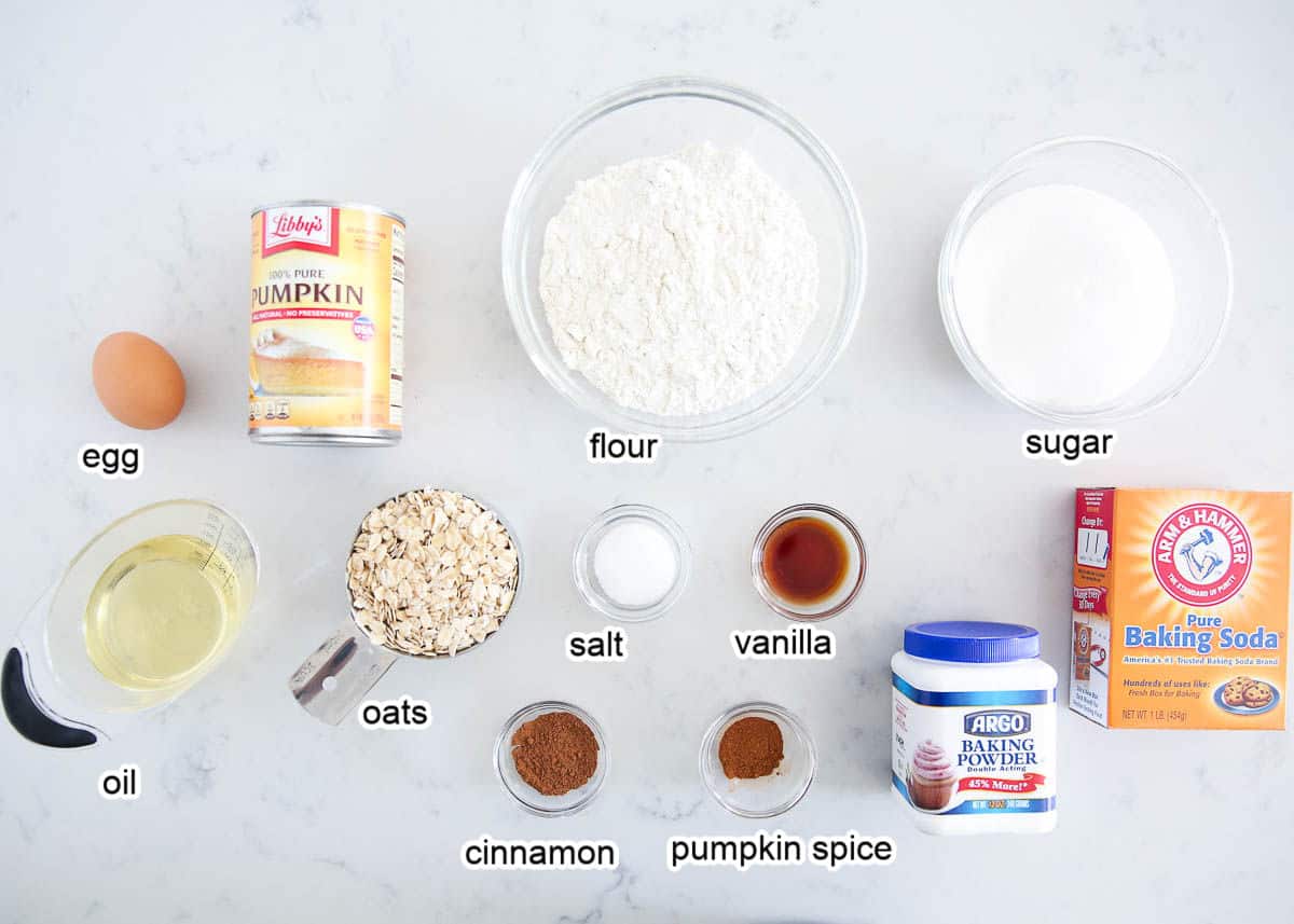 Pumpkin Oatmeal Cookie Ingredients on marble counter.