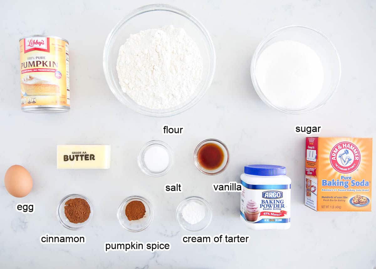 Pumpkin Snickerdoodle Cookie Ingredients on marble counter.