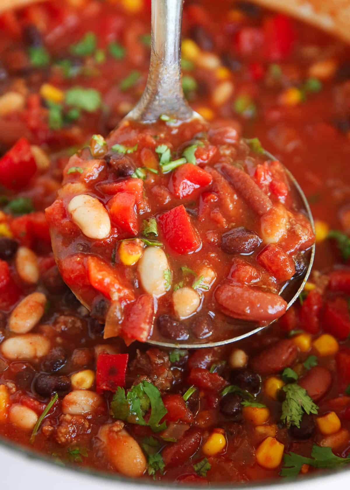 Ladle full of taco soup. 