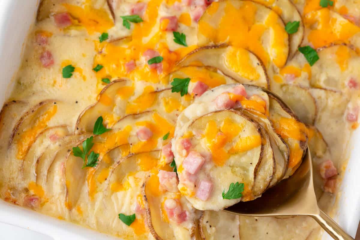 Scalloped potatoes and ham with a spoon.