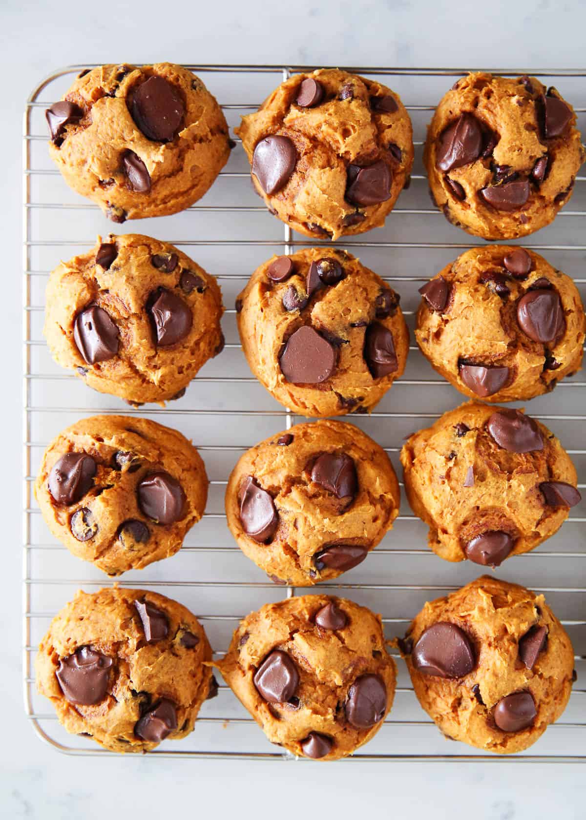 Pumpkin cake mix cookies with chocolate chips cooling on a wire rack.