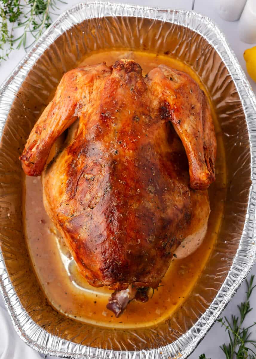 Roasted turkey in a tin pan.