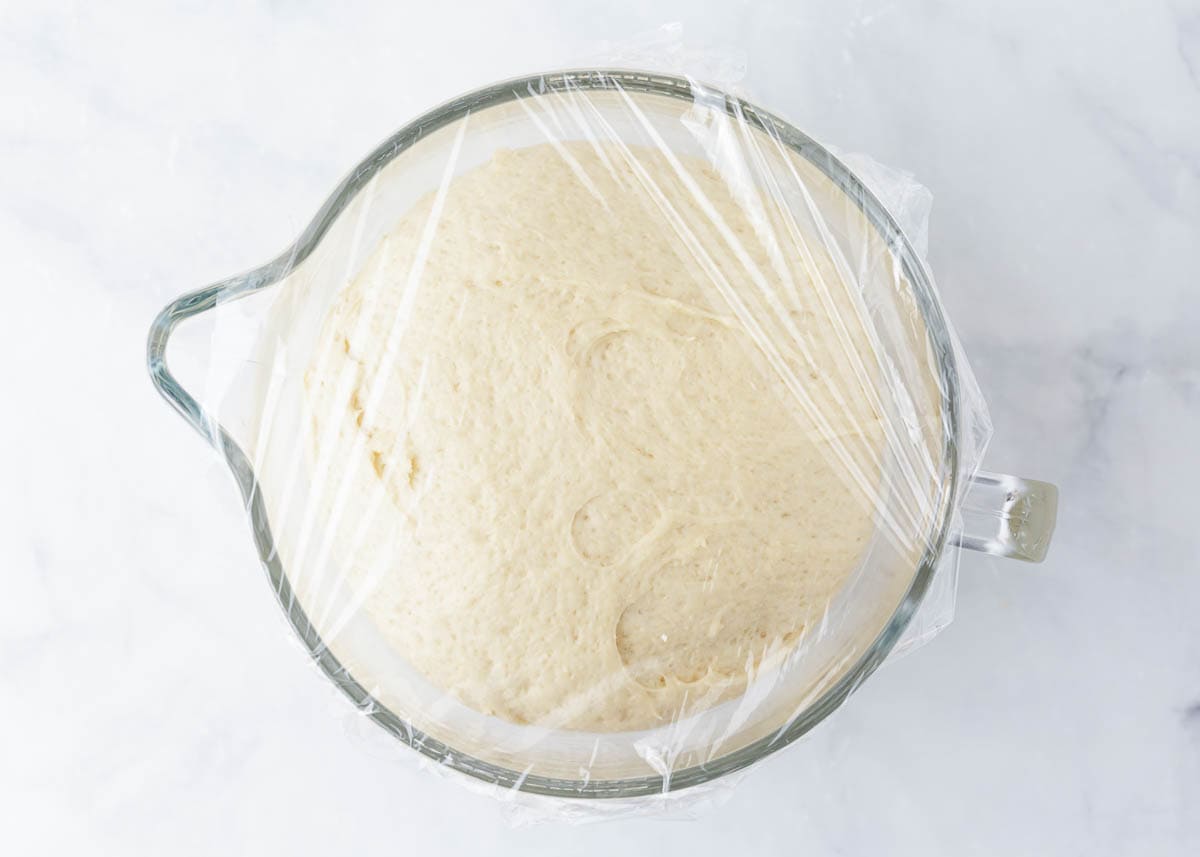 Parker House rolls yeast dough rising in a covered bowl.