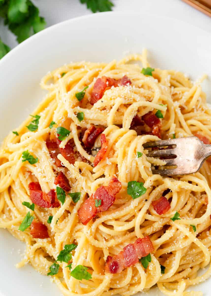 Pasta carbonara on a white plate with fork.