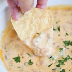 Dipping chip into rotel dip.