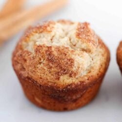 Snickerdoodle muffin on the countertop.