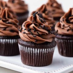 Chocolate cupcakes from scratch with chocolate frosting.