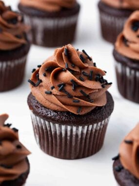 Chocolate cupcakes with chocolate buttercream.
