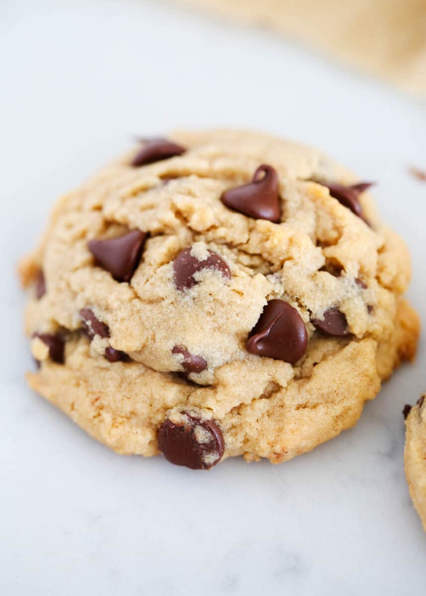 Peanut butter cookies with chocolate chips.