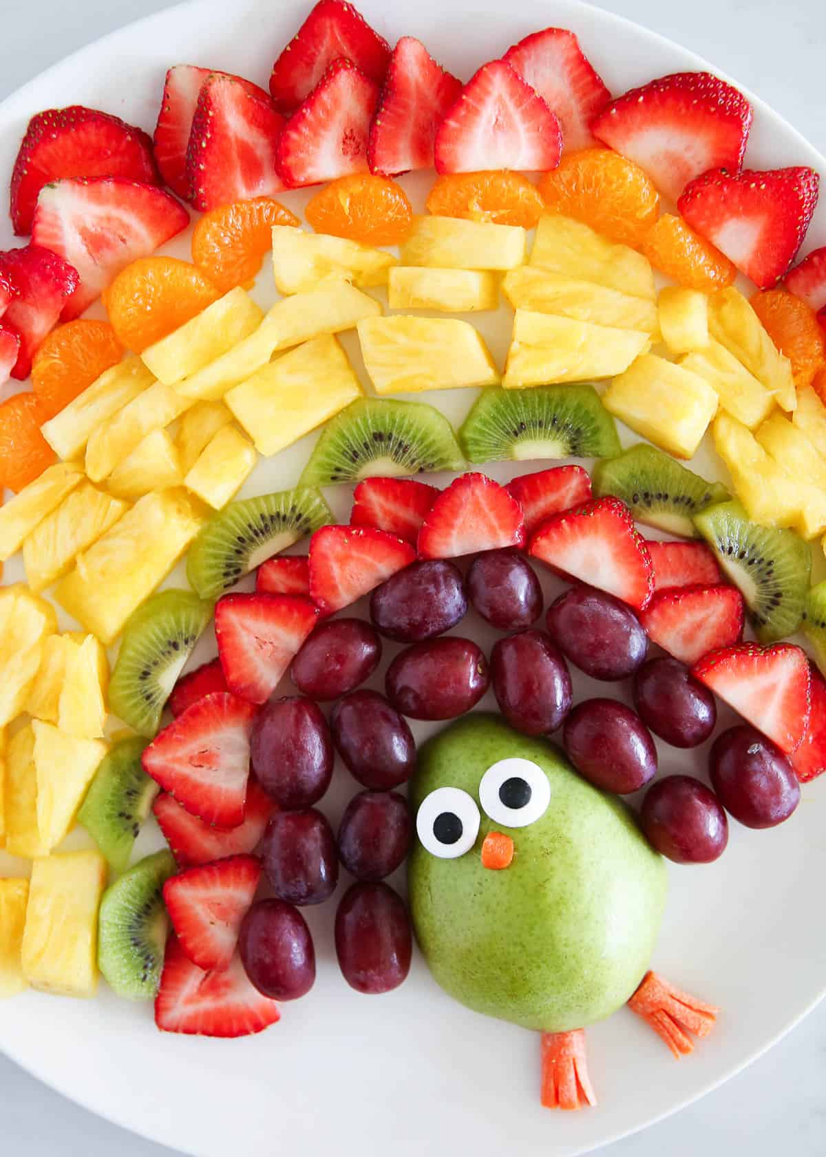 Turkey Fruit Platter - I Heart Naptime