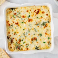 Chicken alfredo lasagna in a white baking dish.