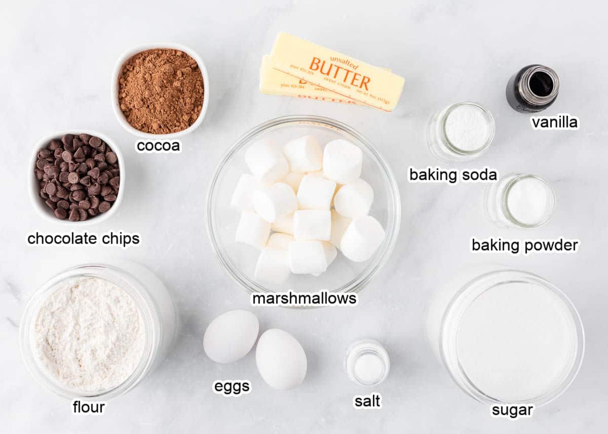 Hot chocolate cookie ingredients on a marble counter.