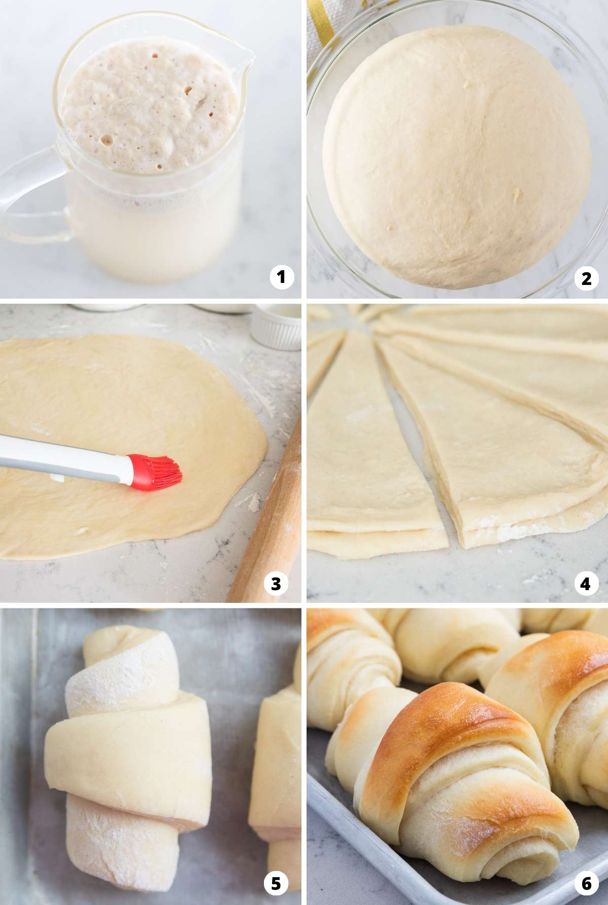 Showing how to make potato rolls in a 6 step collage.