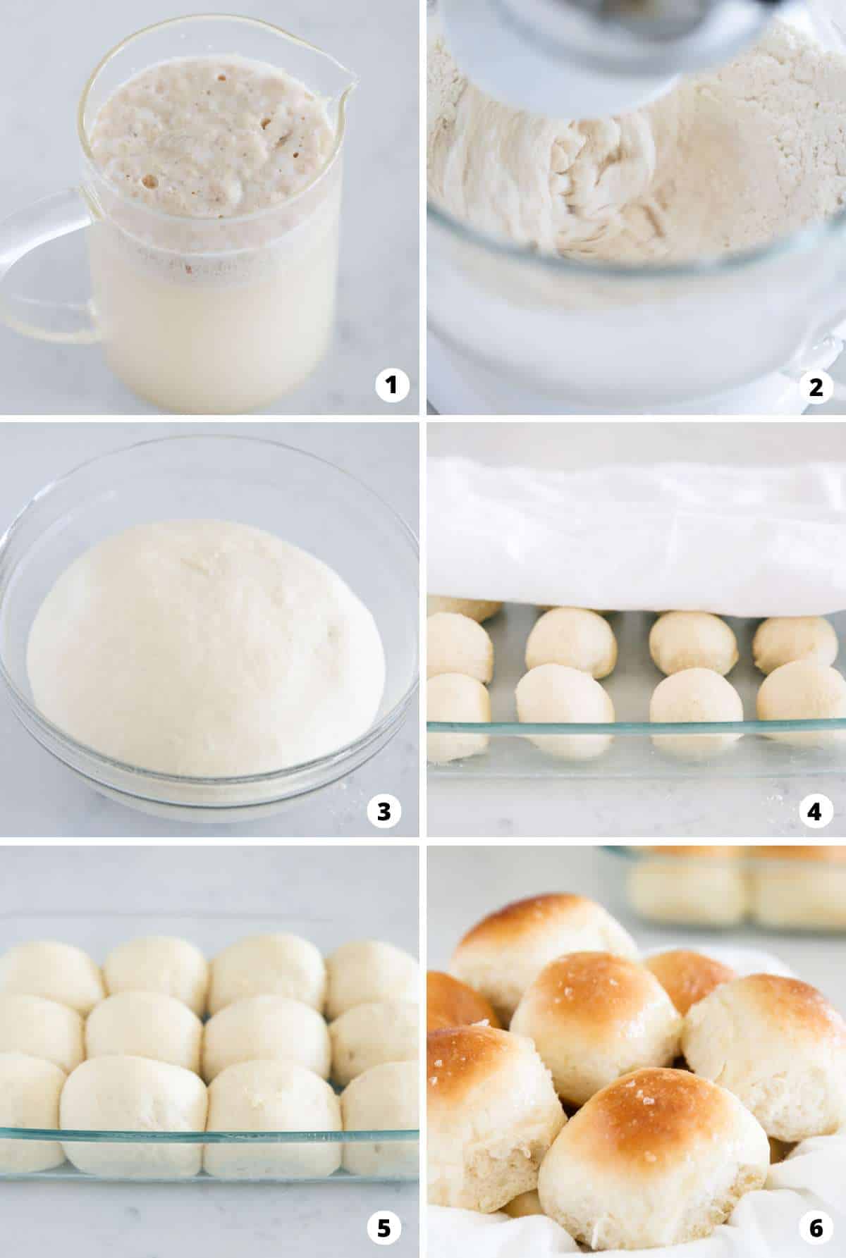 The process of making dinner rolls in a six step photo collage.