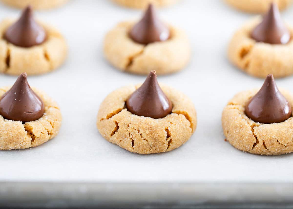 Peanut butter blossoms on a cookie sheet. 