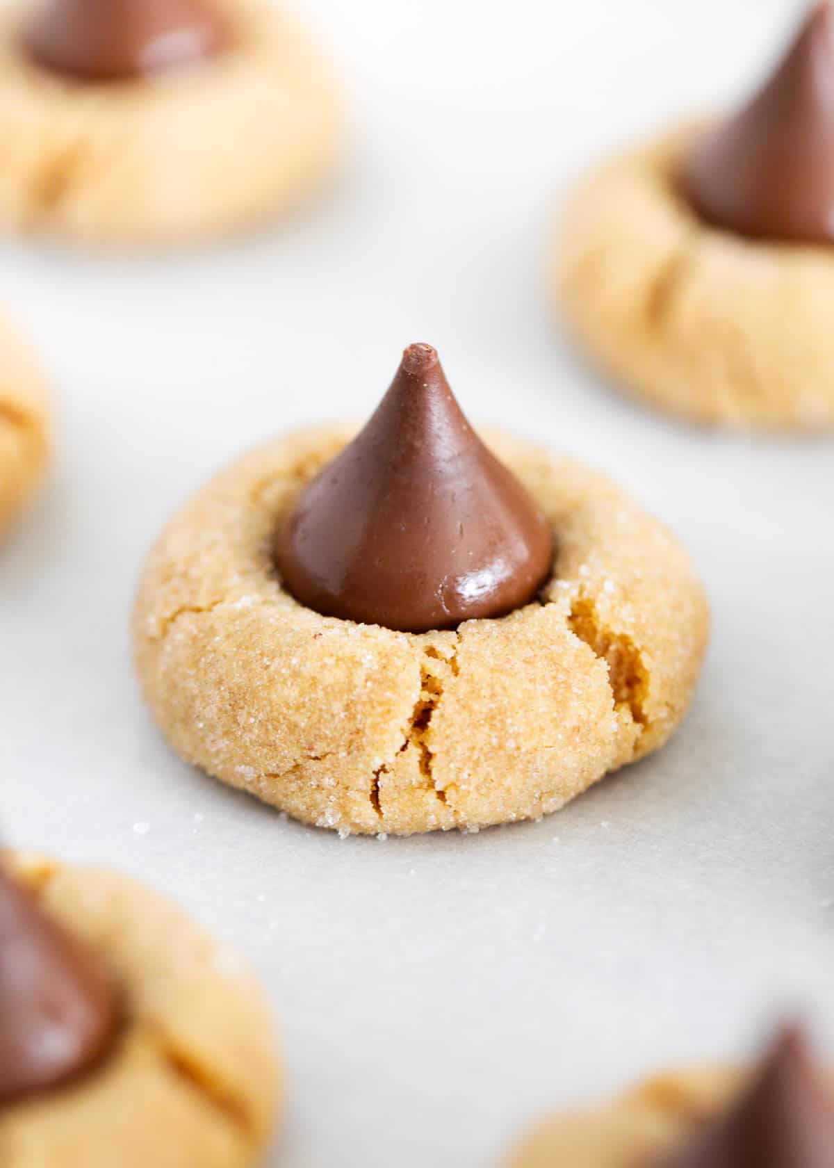An up close photo of peanut butter blossom cookie. 