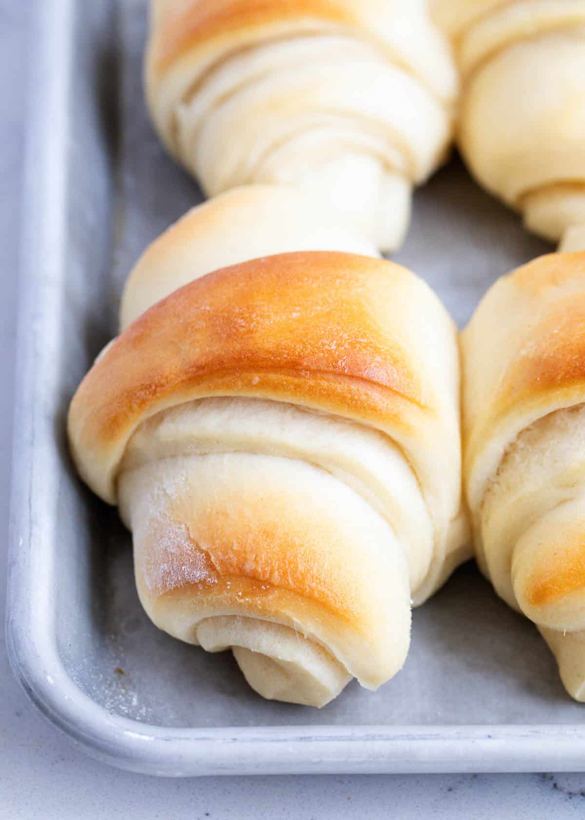 Potato rolls on baking sheet.