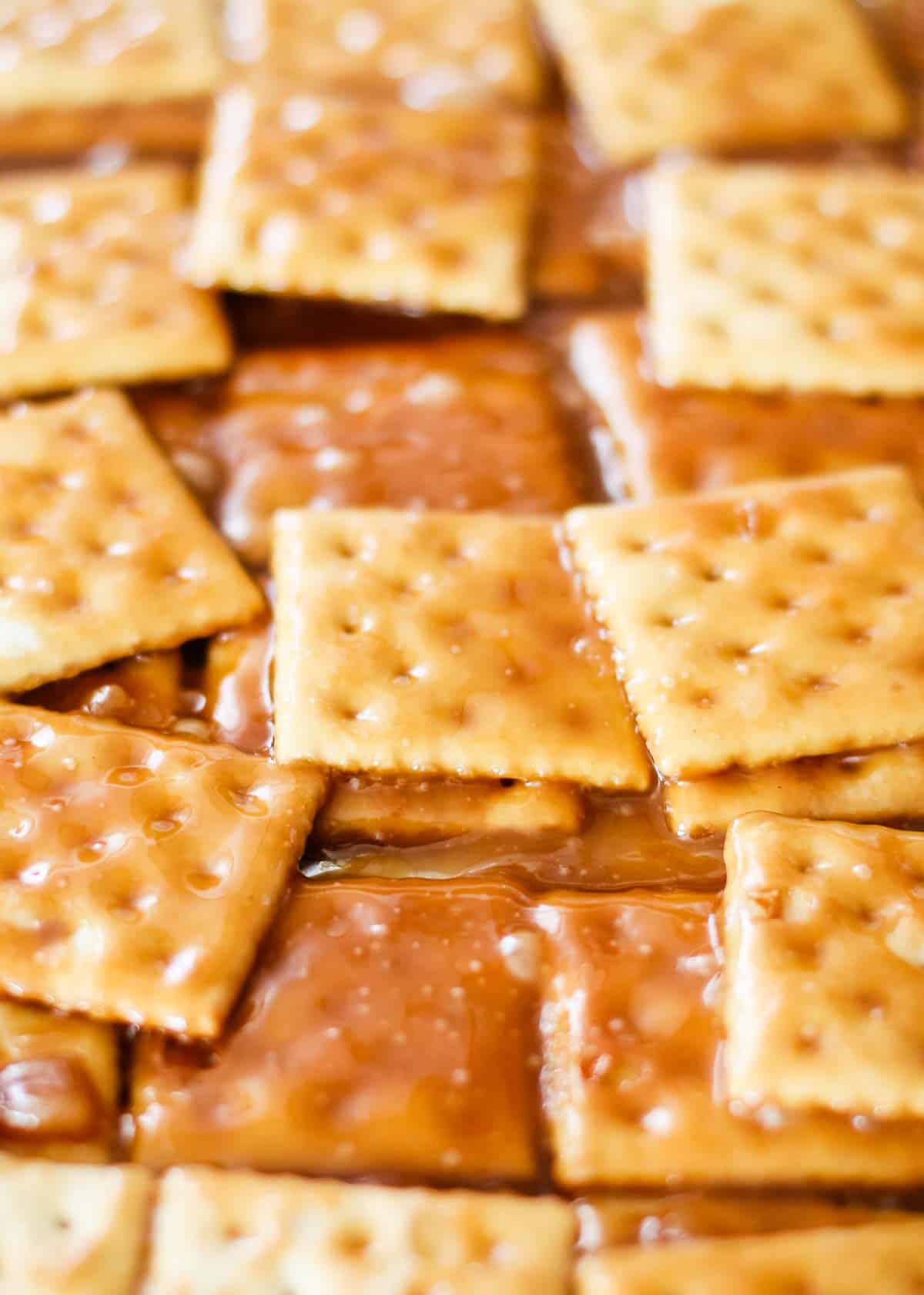 Saltine cracker toffee on a pan.