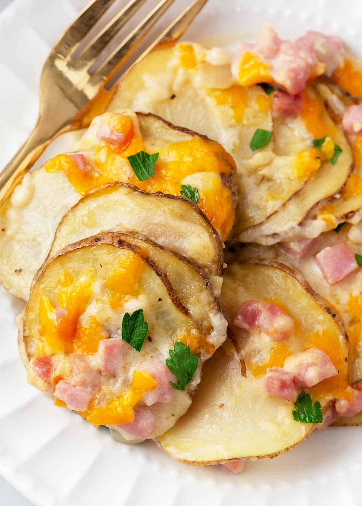 Scalloped potatoes and ham on a white plate. 