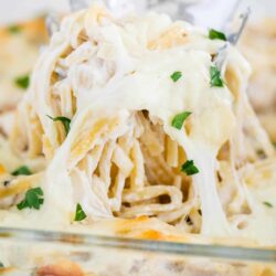 Spoon full of turkey tetrazzini.