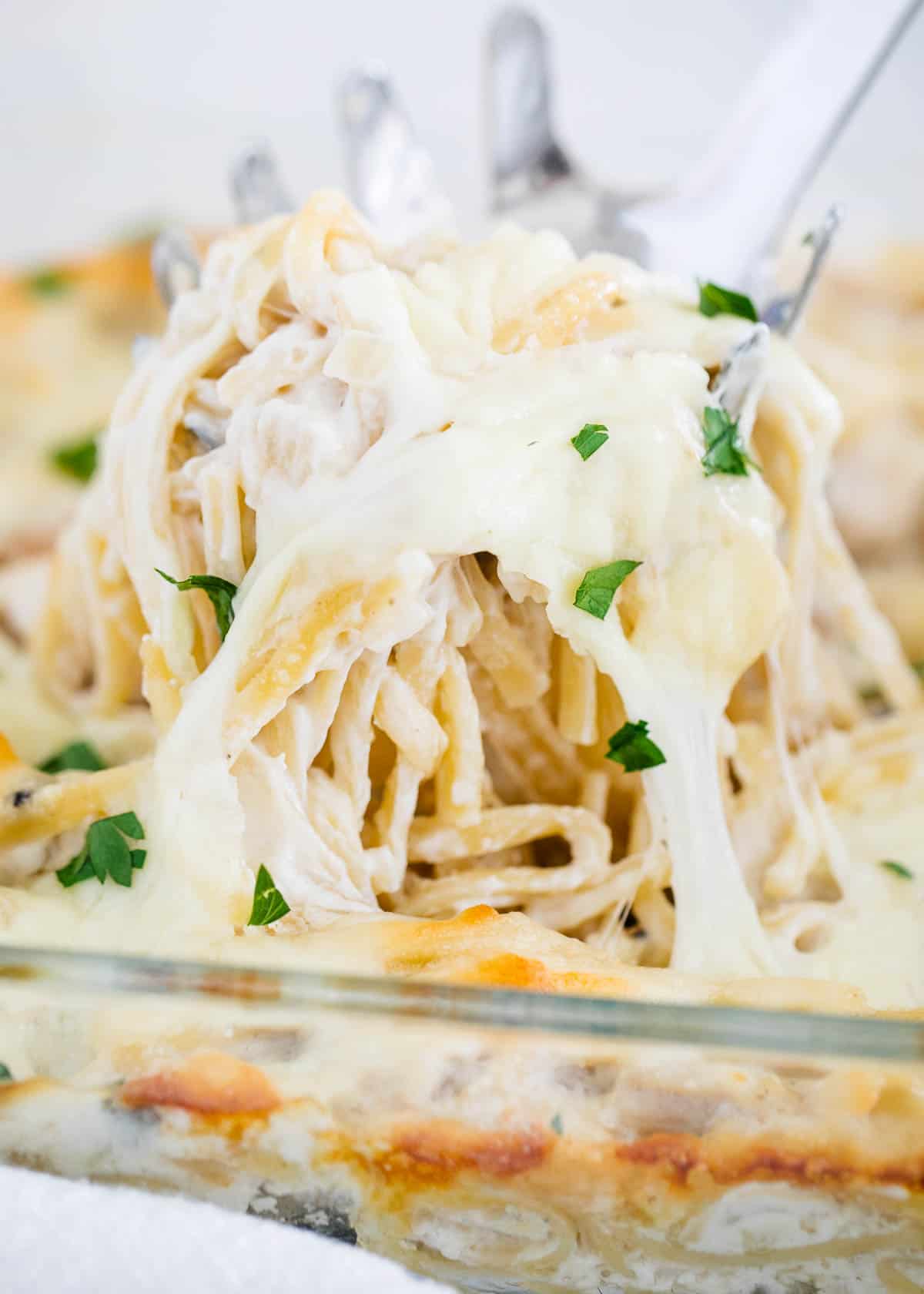 Spoon full of turkey tetrazzini.