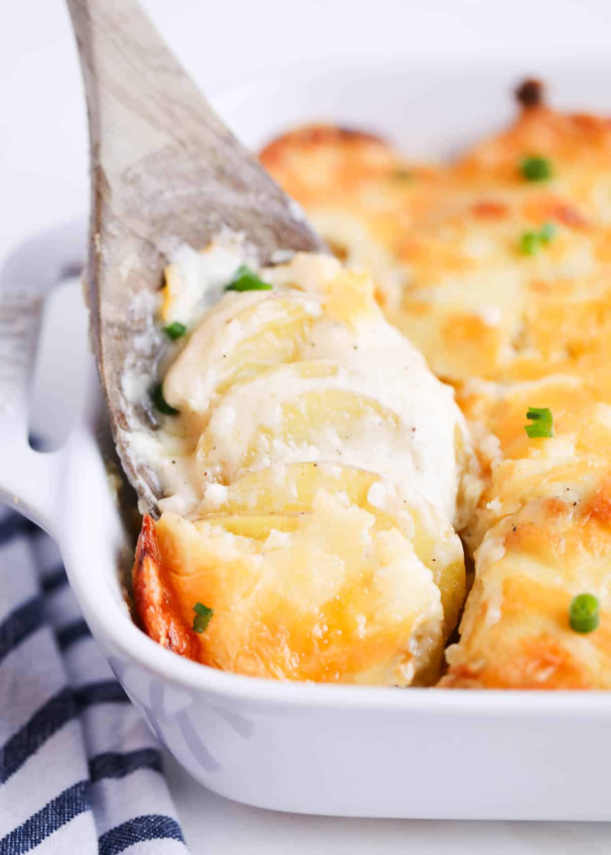 Spoonful of cheesy scalloped potatoes in a white baking dish.