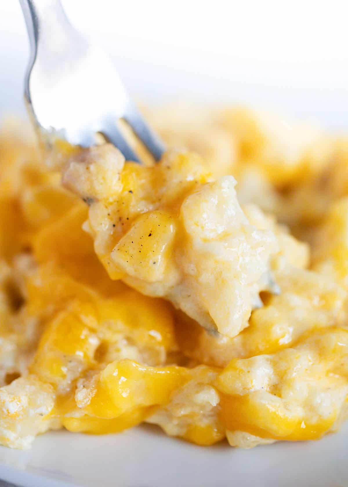 Cheesy potatoes with a fork in the middle on a white plate. 