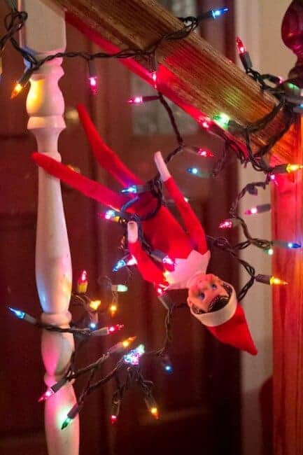 Elf tangled in Christmas lights.