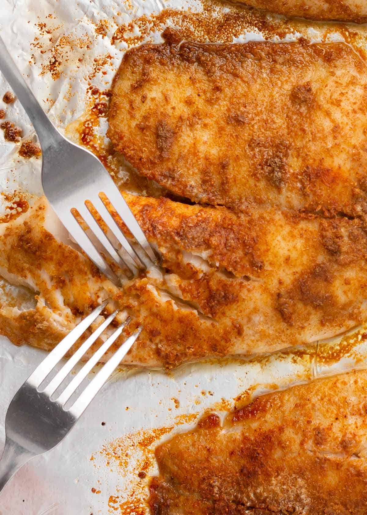 Baked tilapia on a baking pan with two forks.