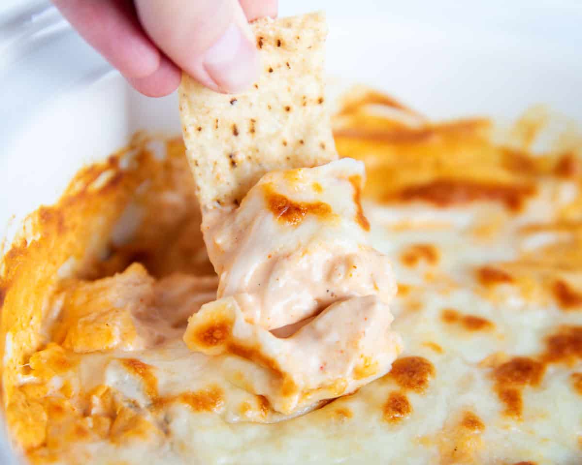 Buffalo chicken dip with a tortilla chip. 