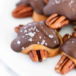 Chocolate turtles on a white plate.