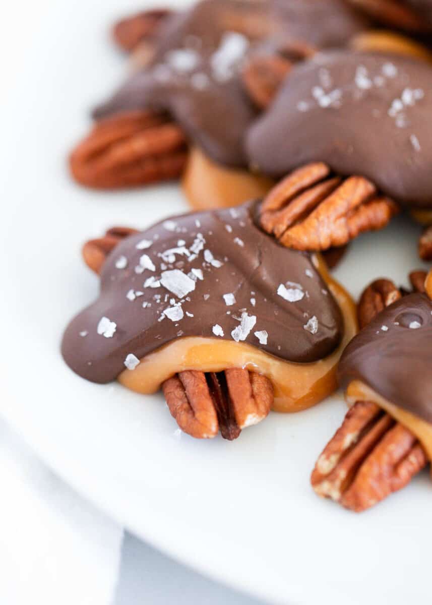 Chocolate turtles on a white plate.