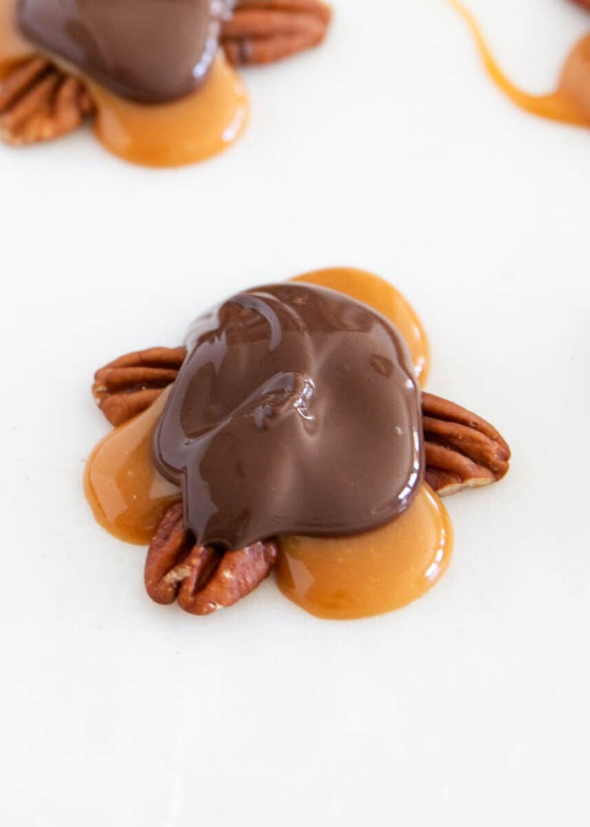 Chocolate turtles on a white counter.