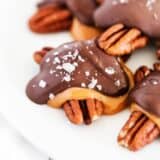 Chocolate turtles on a plate.